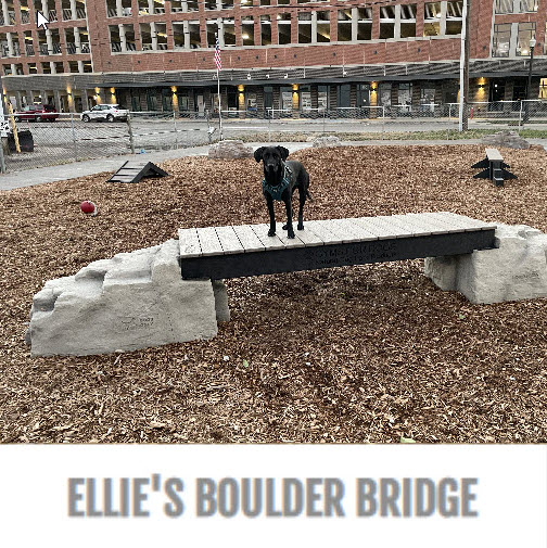 CAD Drawings Gyms For Dogs™ Ellie's Boulder Bridge